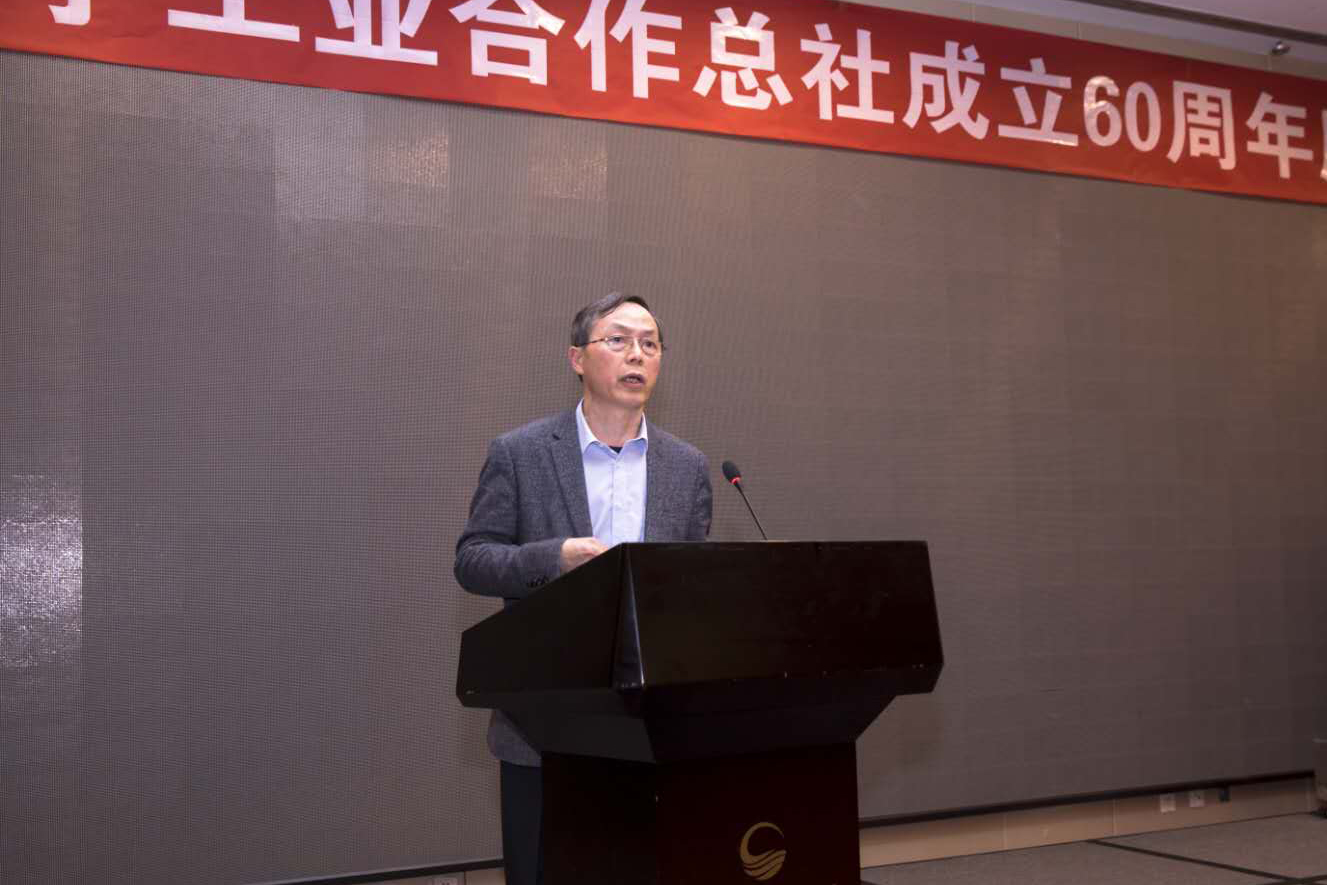 開拓進取引領輕工業走進高質量發展新時代