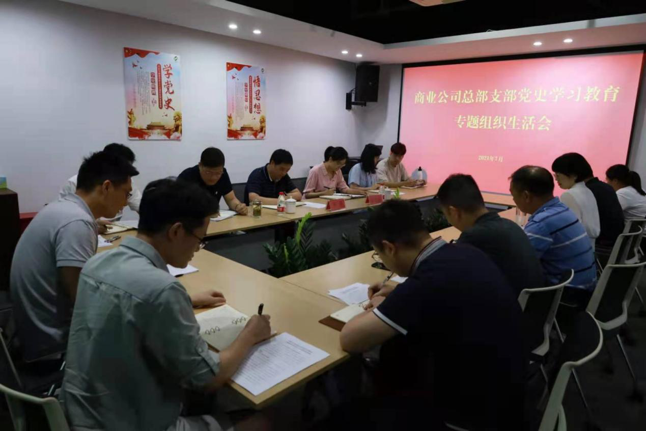 商業公司召開黨史學習教育黨支部專題組織生活會